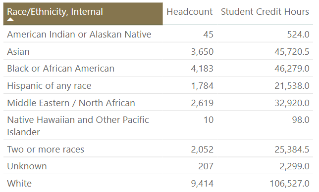 Chart of Student Ethnicities