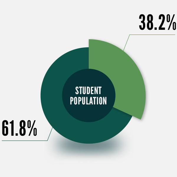 Student population